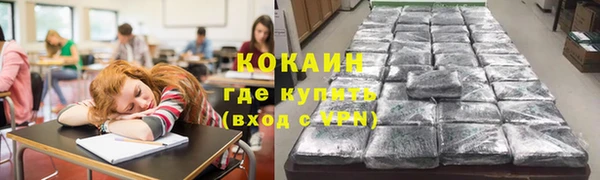 прущие грибы Балахна